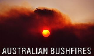 Bushfires500