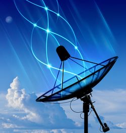 Shutterstock_dish