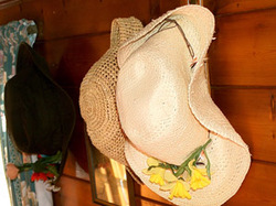 Hats Hats