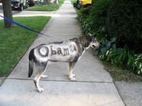 Skip the Obama Dog