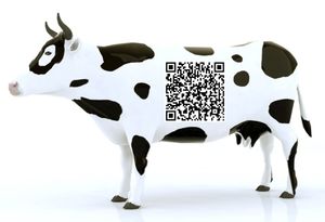 Cow qr code