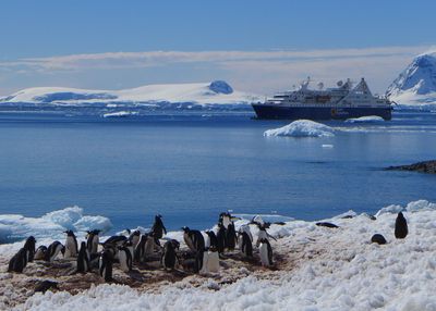 Antarctica gig photo