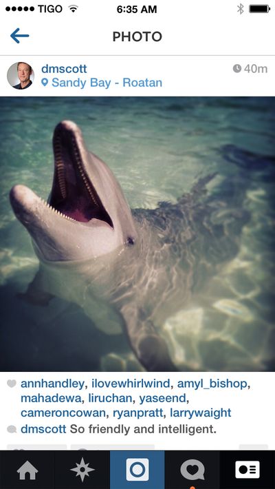 Instagram 4 Instagram 4