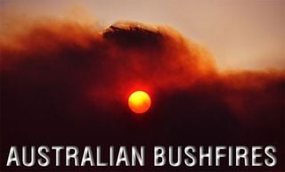 Bushfires500