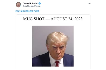 Trump Mug shot