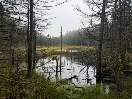 Vermont wilderness pond
