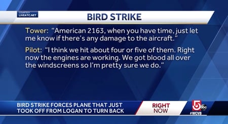 bird strike damage