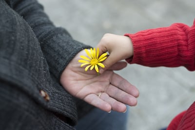 shutterstock_514863646